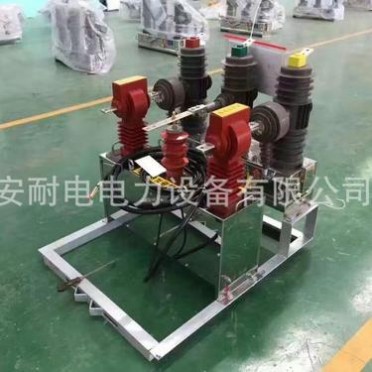 高壓計量裝置 10kV柱上預付費計量裝置HYZSW-12